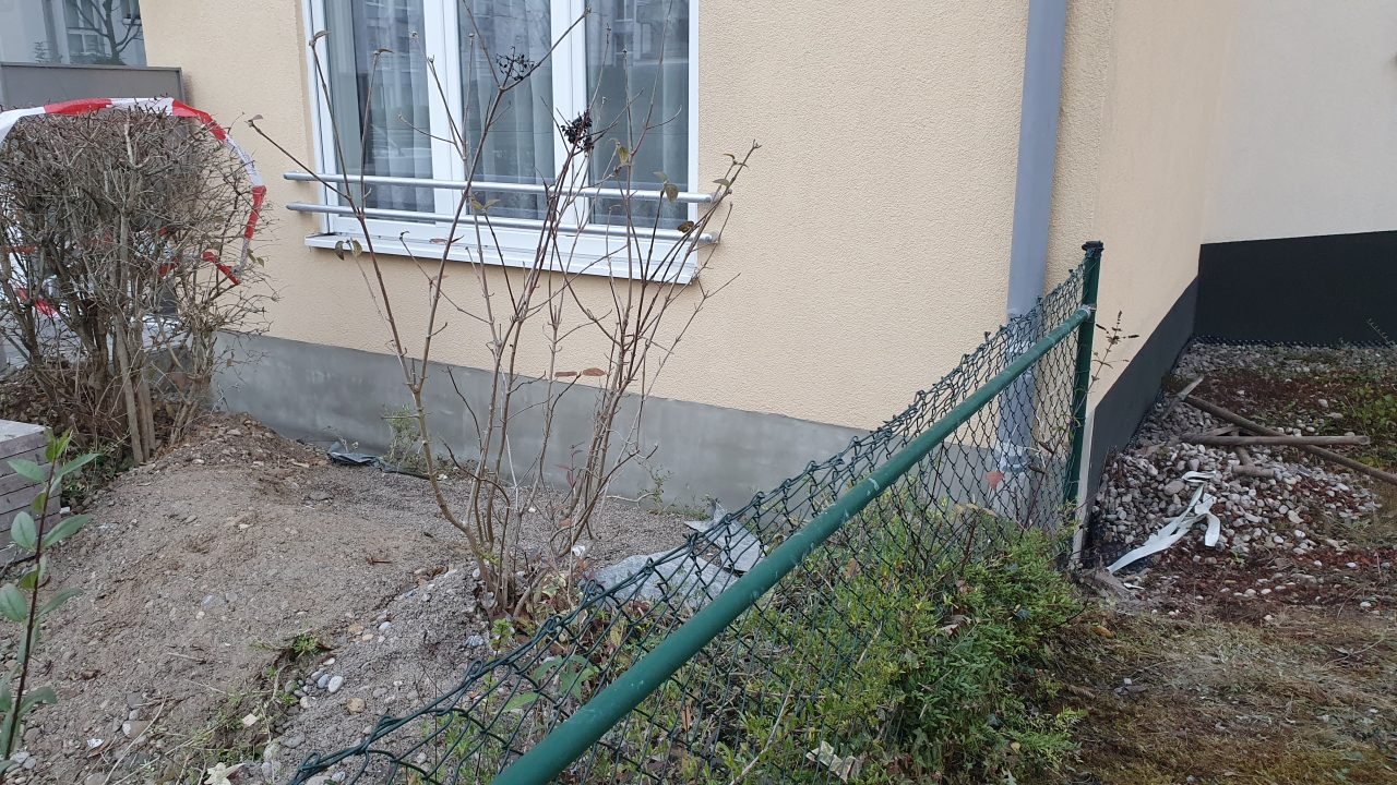 Schimmelbeseitigung Sockelbereich