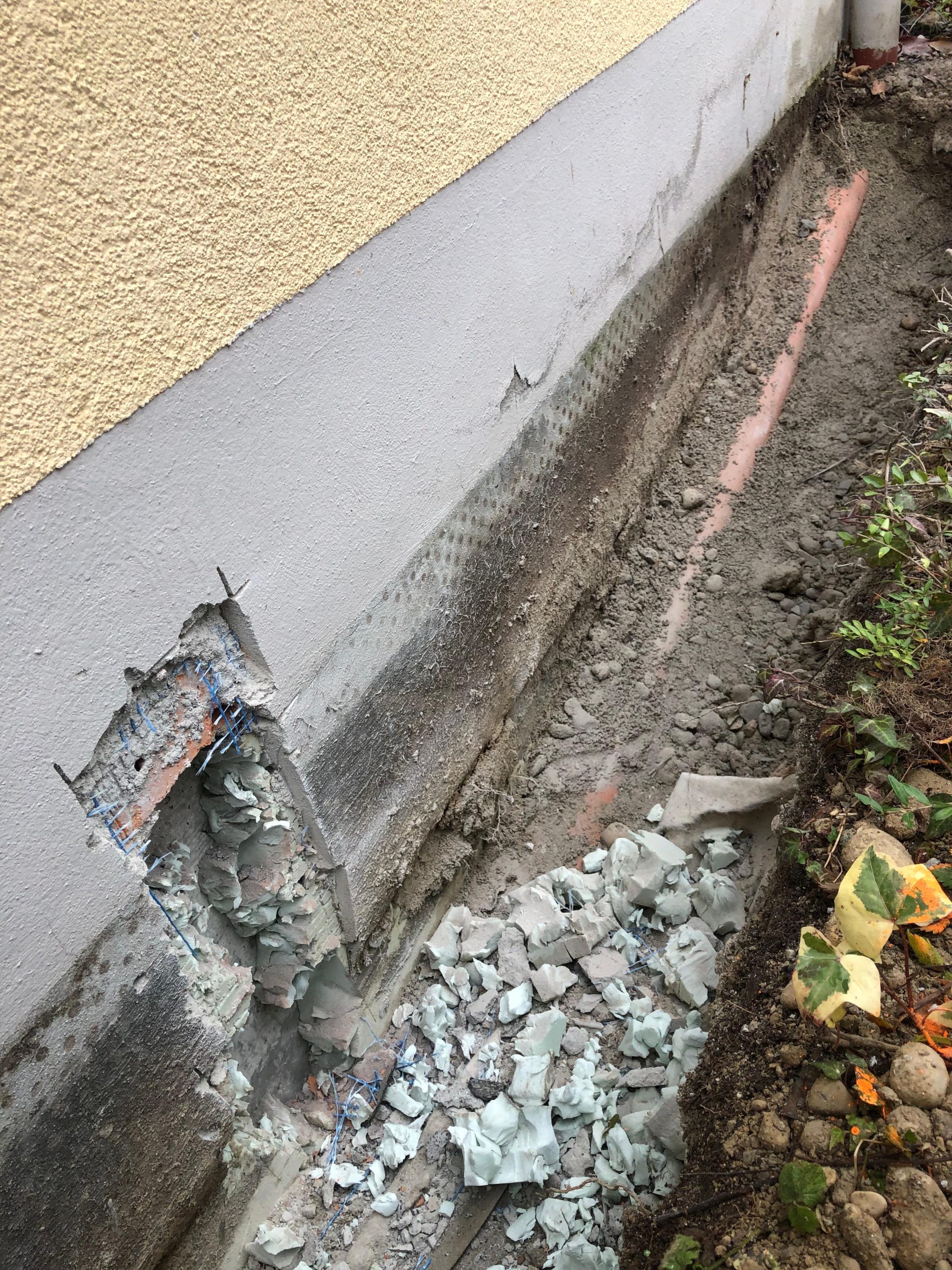 Schimmel in Sockelbereich